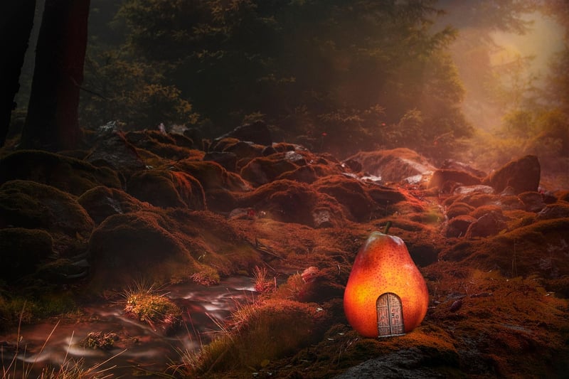 Enchanted Lighting